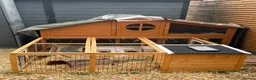 Guinea Pig rodents for sale: Guinea Pigs x 2 male + hutch and everything needed - Advert 4