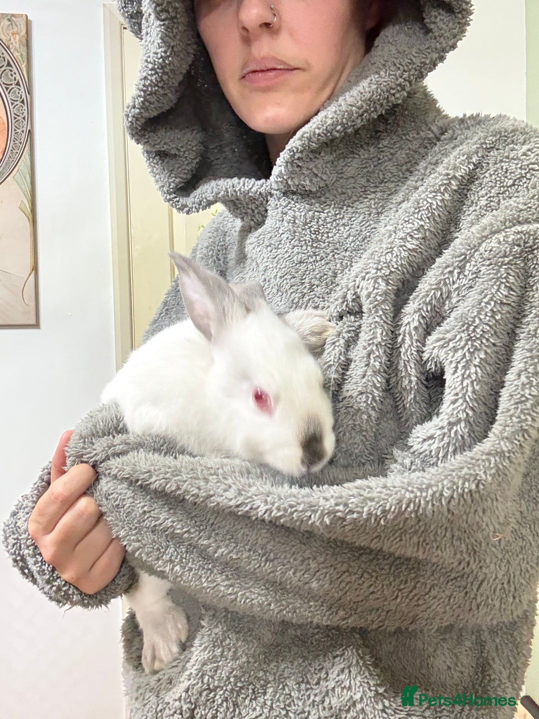 New Zealand rabbits for sale: New Zealand Does and bucks ready to leave now - Image 11