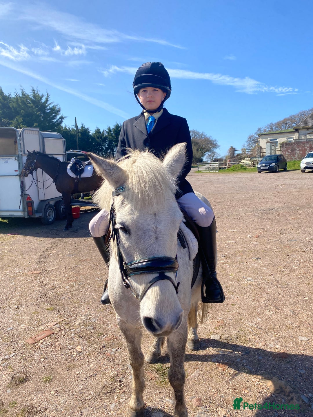 Dartmoor horses for sale: 12.3hh Pretty Dartmoor mare - Image 2