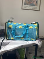 Lionhead rabbits Lionhead Rabbit with Cage and Accessories - Advert 5