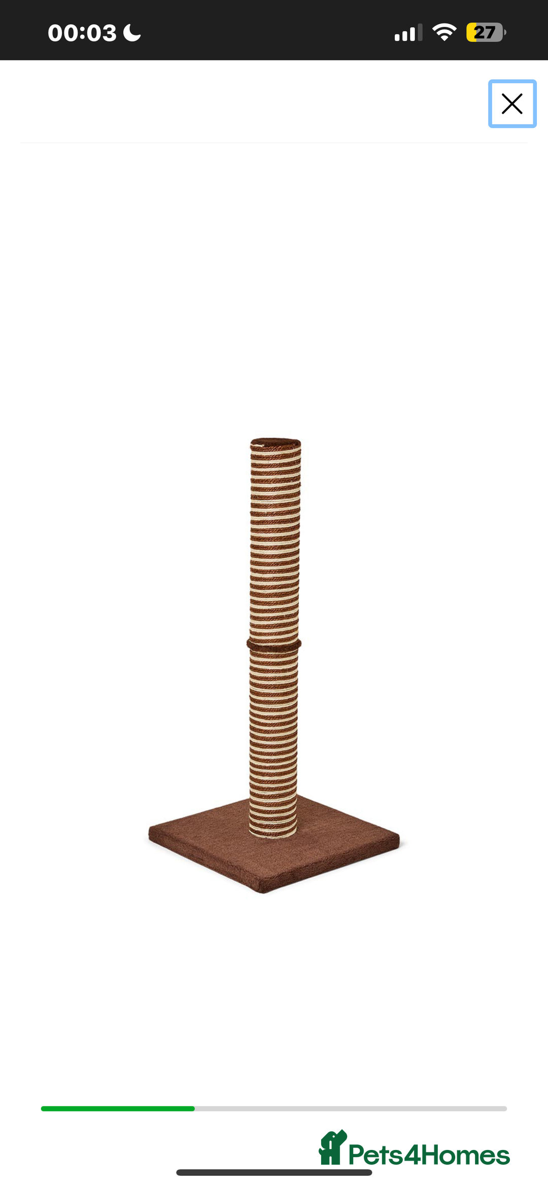 Domestic Shorthair cats for sale: Domestic short hair! - Advert 5