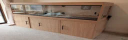 Python Snake reptiles for sale: Adult Coastal Carpet Python with Vivarium&Cabinet - Advert 6