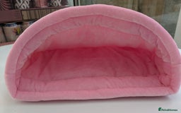 Guinea Pig rodents for sale: Guinea pig/rabbit snuggle sock/bedding  - Image 2
