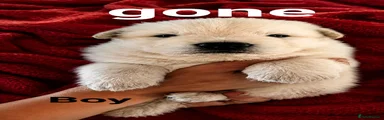 German Shepherd 1
