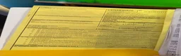 Tortoise reptiles for sale: Herman’s tortoise and fullSetup  - Advert 4