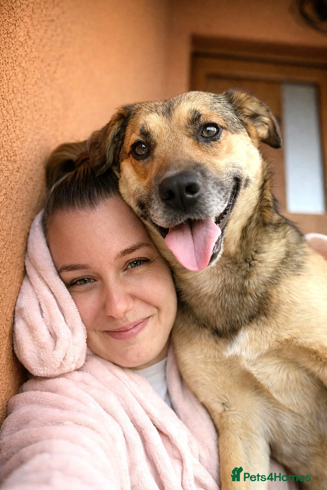 Mixed Breed dogs for adoption: ROMEO, a gentle and handsome Boy for a Loving Home - Advert 1