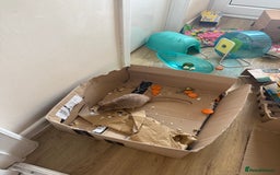 Rat rodents for sale: 3 male rats and massive amount of accessories  - Image 29