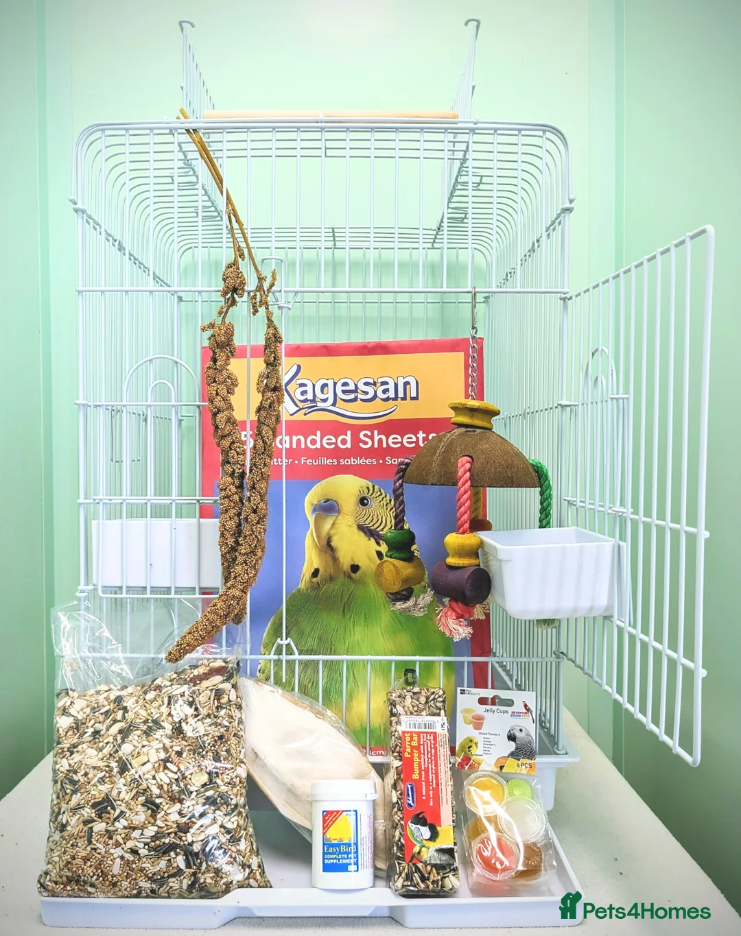 Parrots birds for sale: Beautiful Handreared Galah, Caique & Parrotlets!!! - Advert 2