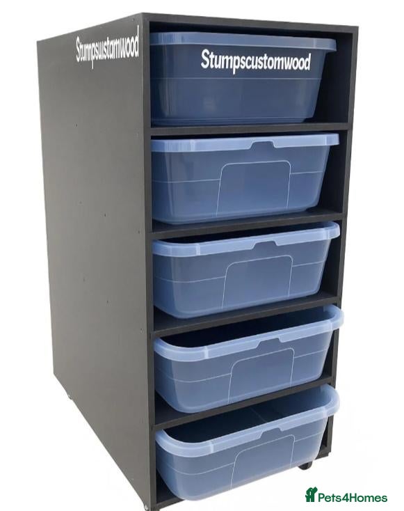 Python Snake reptiles Royals and Racking System - Advert 2