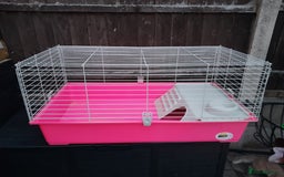 English Lop rabbits for sale: 3 rabbits and full setup - Image 5