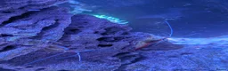 Other/Mixed Breed fish for sale: Marine fish  - Advert 6