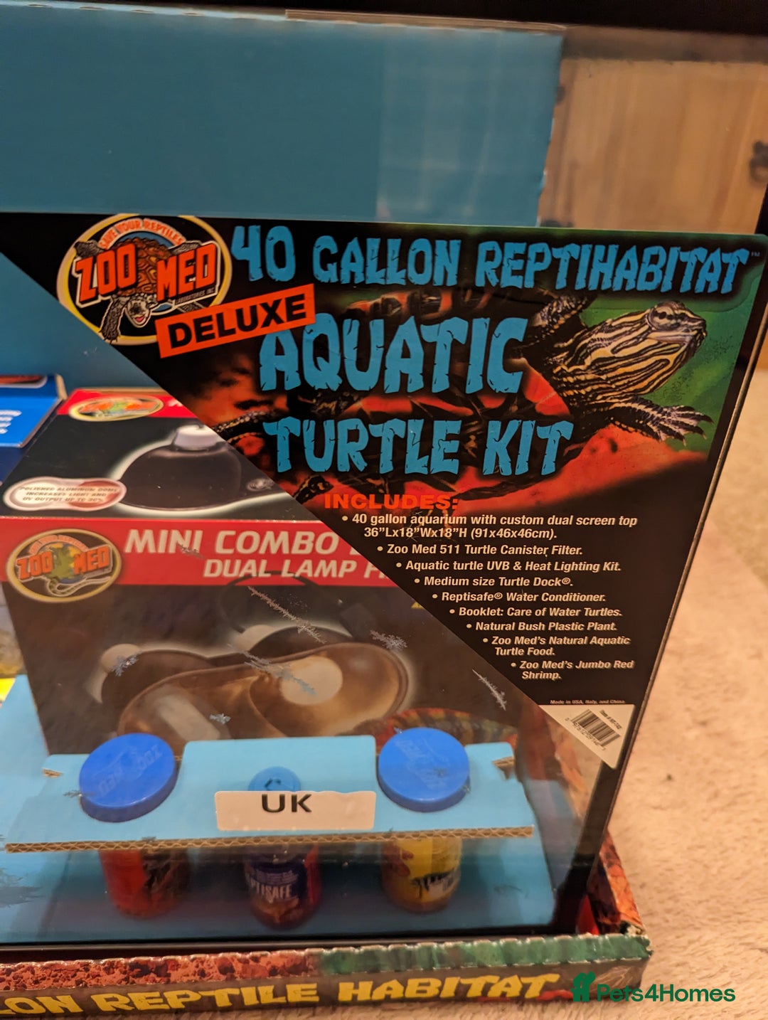 Turtle reptiles for sale: 2 Musk Turtles and 40 gallon tank set up - Image 1