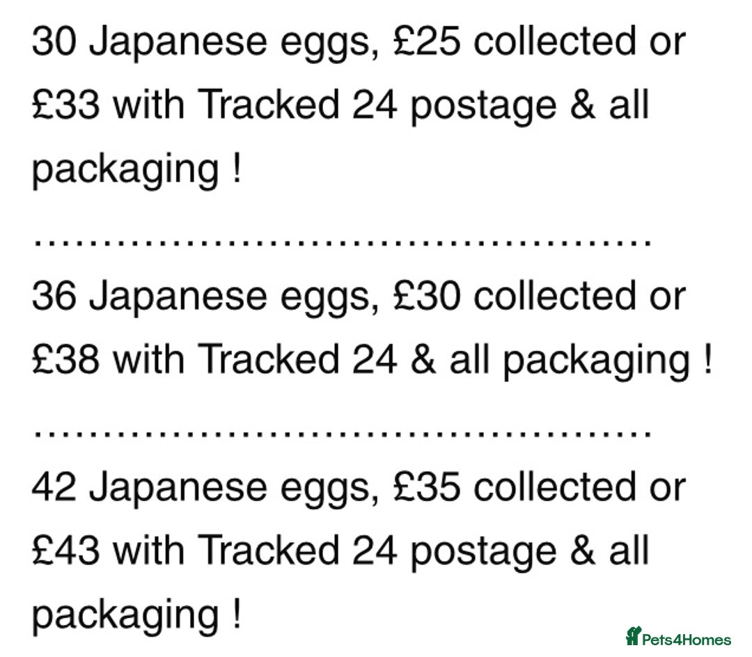 Quail poultry for sale: QUAIL HATCHING EGGS/1ST SEPTEMBER ! - Image 7