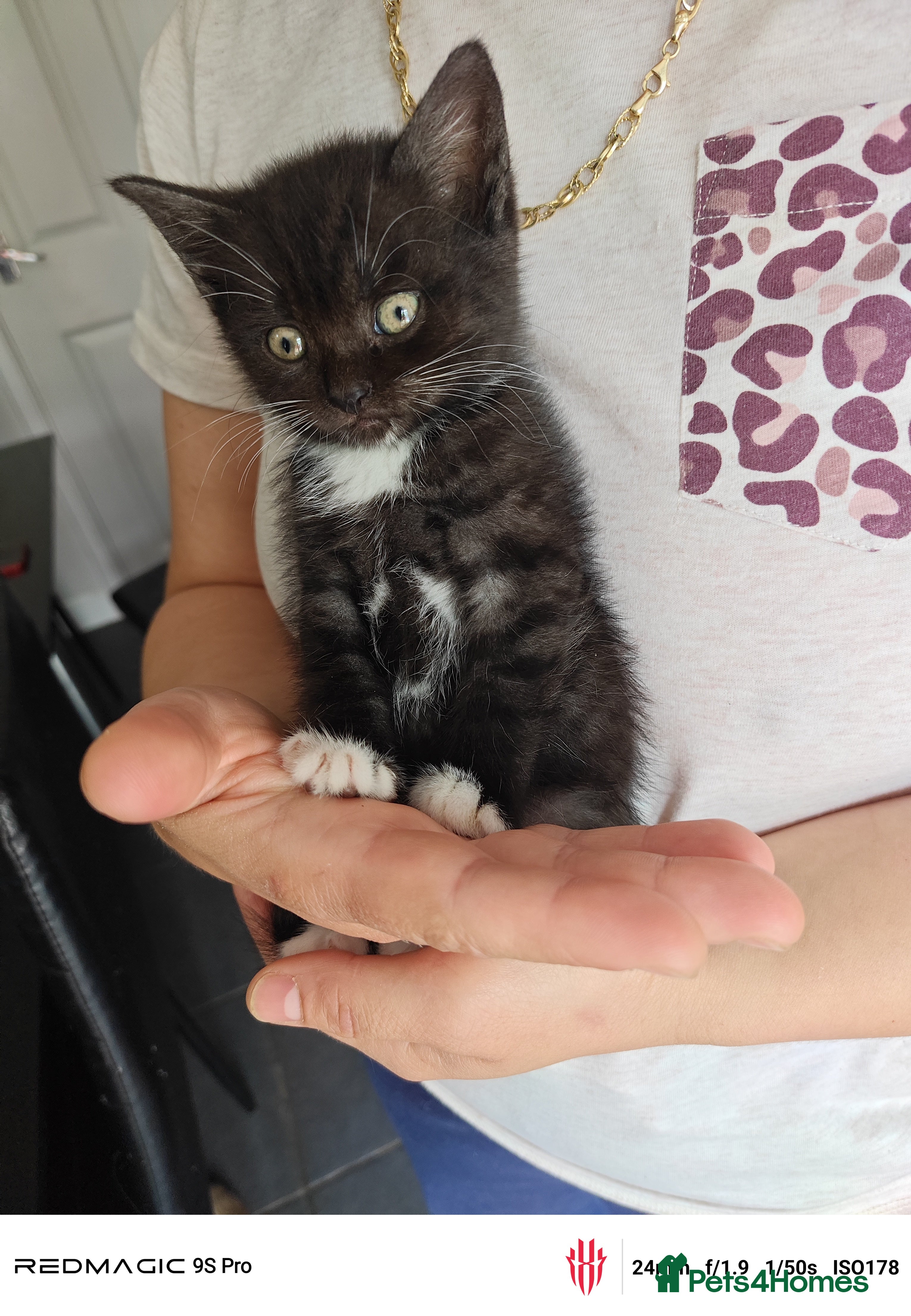 Oreo