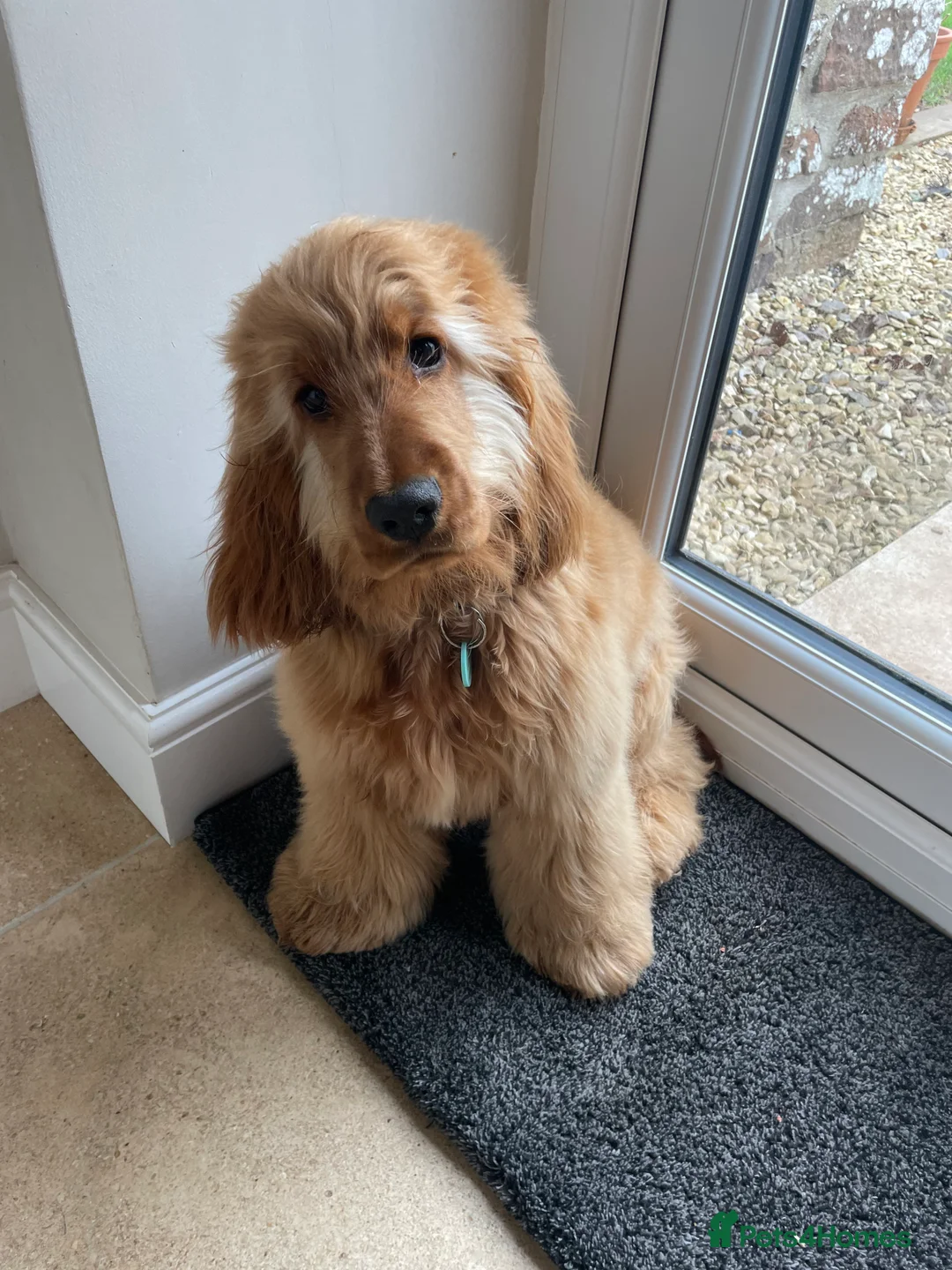 Gallery Image {{count}}