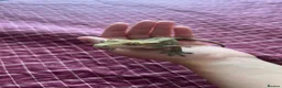Gecko reptiles for sale: Crested gecko in Harrow - Advert 7