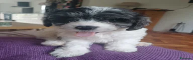 May