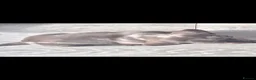Dachshund dogs for sale: Beautiful Dachshund pups - Advert 9
