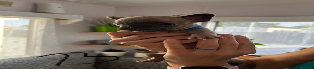Rico