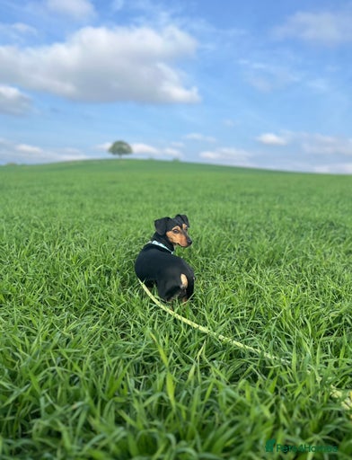 Gallery Image {{count}}