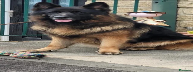 Kyro