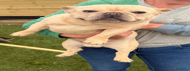 Ralph