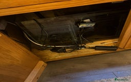 Discus fish for sale: 5 foot solid oak Fish Tank with Sump - Advert 12