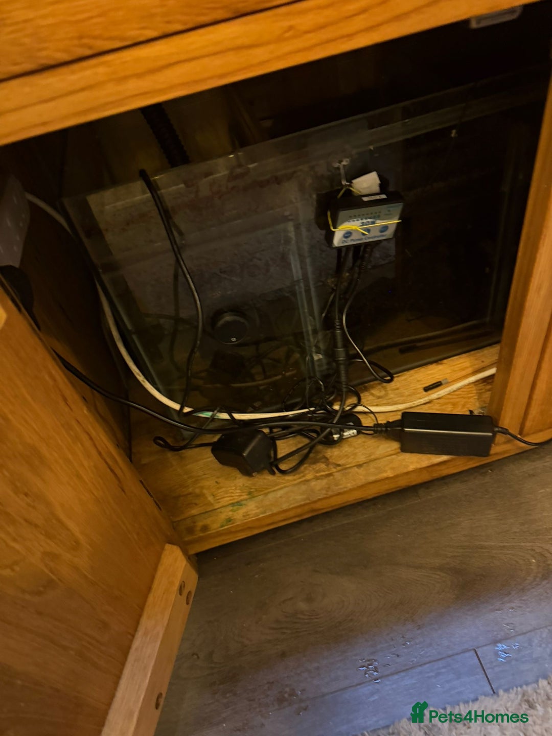 Discus fish for sale: 5 foot solid oak Fish Tank with Sump - Advert 12