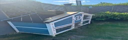 Rex rabbits for sale: 2 females Rabbits. With cage and accessories  - Advert 7