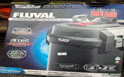 Axolotl reptiles for sale: 2 Adult male Axolotls and Full set up  - Image 12