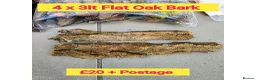 Millipedes invertebrates for sale: Pick & Mix see Photos  - Advert 6