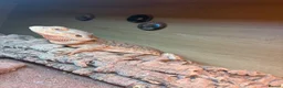 Bearded Dragon reptiles for sale: Bearded dragon with viv for sale. - Advert 5
