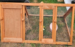Hermann Tortoise reptiles for sale: Hurmman Tortoise  - Image 8