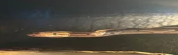 Python Snake reptiles for sale: Ball python  in Heathfield - Advert 7