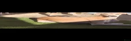 Mixed Breed dogs for sale: Saluki whippet x weaton greyhound - Advert 1