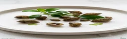 Snails invertebrates for sale: ​Active Bladder Snail Cleanup Crew  - Advert 1