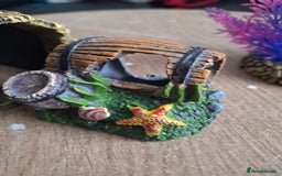 Other/Mixed Breed fish for sale: 60ltr Fishtank with Accessories Only - Image 6