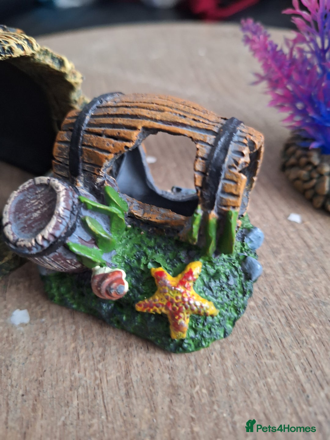 Other/Mixed Breed fish for sale: 60ltr Fishtank with Accessories Only - Image 6