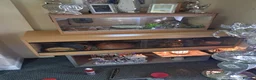 Corn Snake reptiles for sale: Corn snake full set up  - Advert 1
