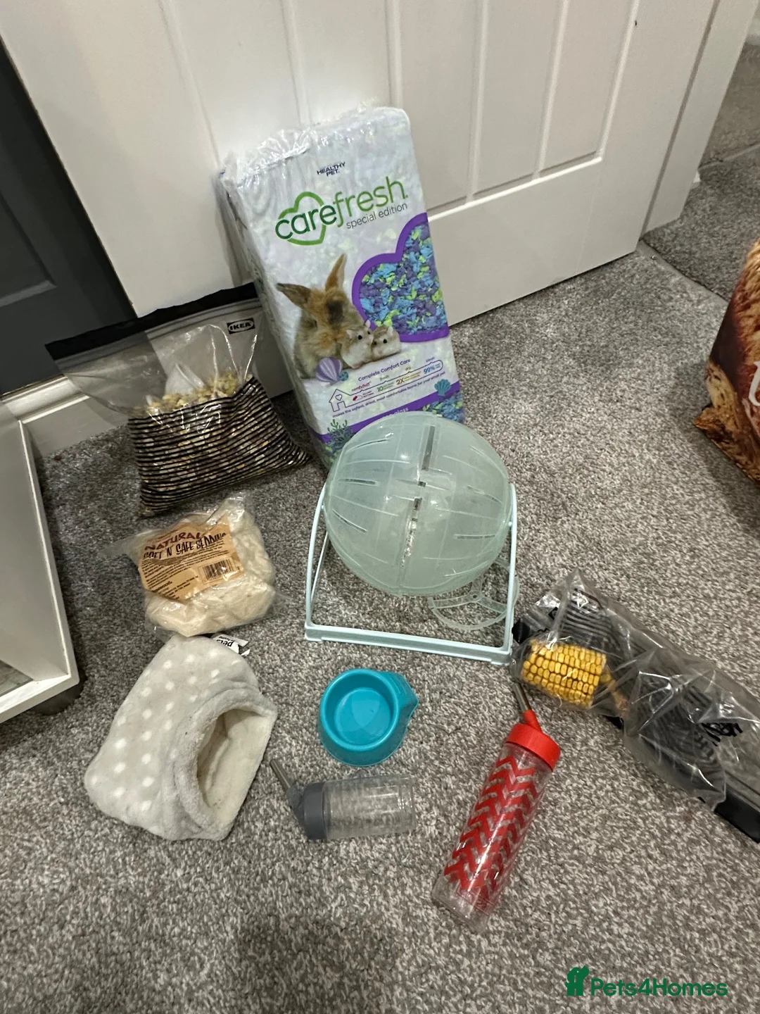 Hamster rodents for sale: Russian dwarf male hamster with omlet cage  - Advert 2