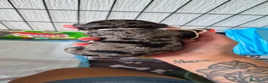Cockapoo 2