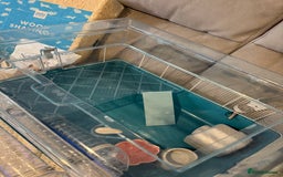 Hamster rodents for sale: Hamster cage set up with everything u need - Image 1