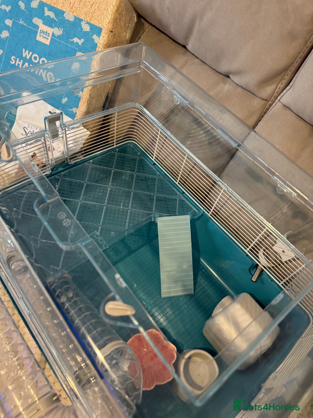 Hamster rodents for sale: Hamster cage set up with everything u need - Image 1