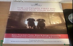 Cavapoo dogs for sale: Top Class Cavapoo pups double vaccinated! - Image 37