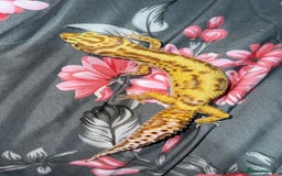 Gecko reptiles for sale: Breeding Adults Leopards and African Fat Tails  - Image 3