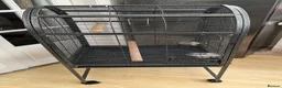 Parakeets birds for sale: Brand new bird cage  - Advert 3