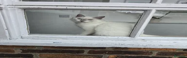 Casper