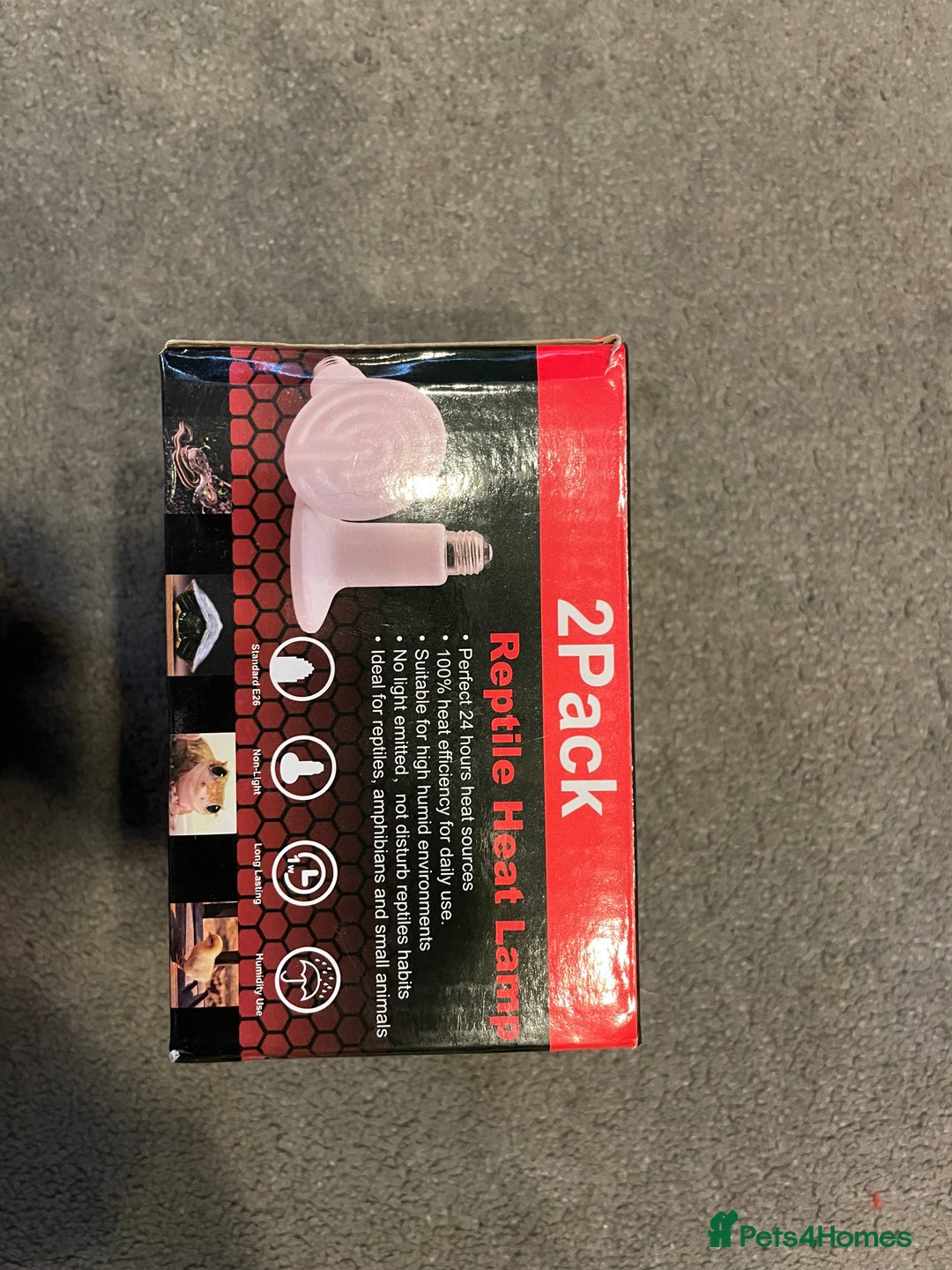 Gecko reptiles for sale: Crested Gecko, full set up, ready to go. - Advert 9