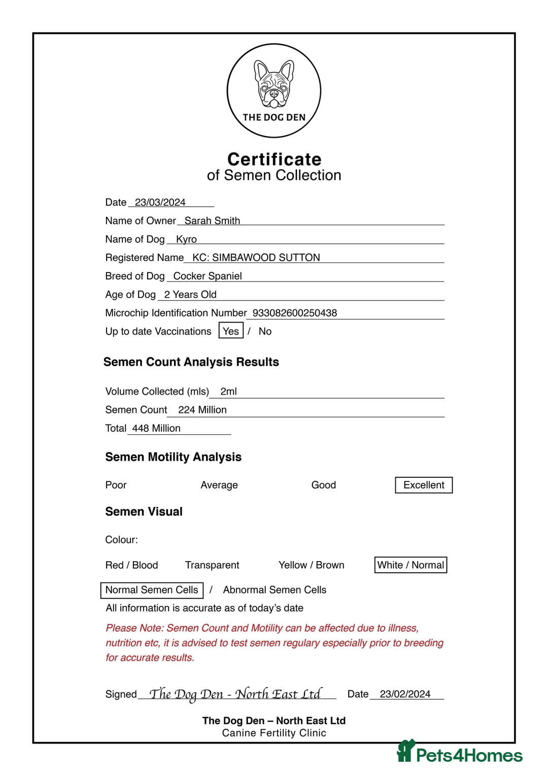 Cocker Spaniel dogs for stud: Stunning Choc Sable Show Cocker FOR STUD in Prudhoe - Advert 5