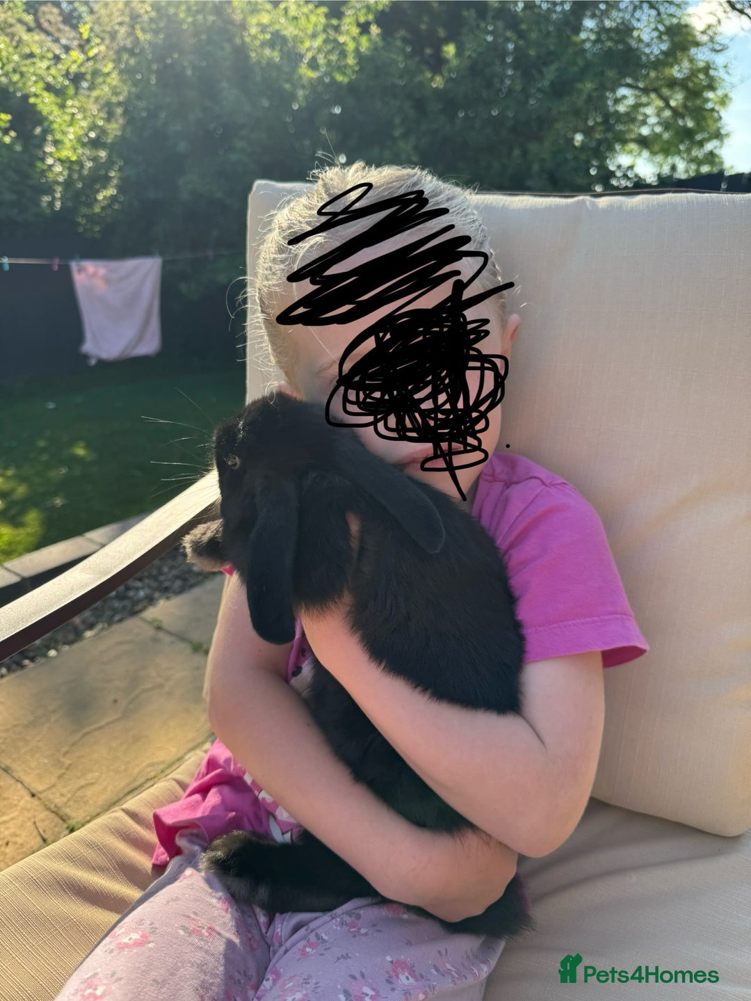 Mini Lop rabbits for sale: Female mini lop rabbit. Vaccinated and friendly.  - Image 3
